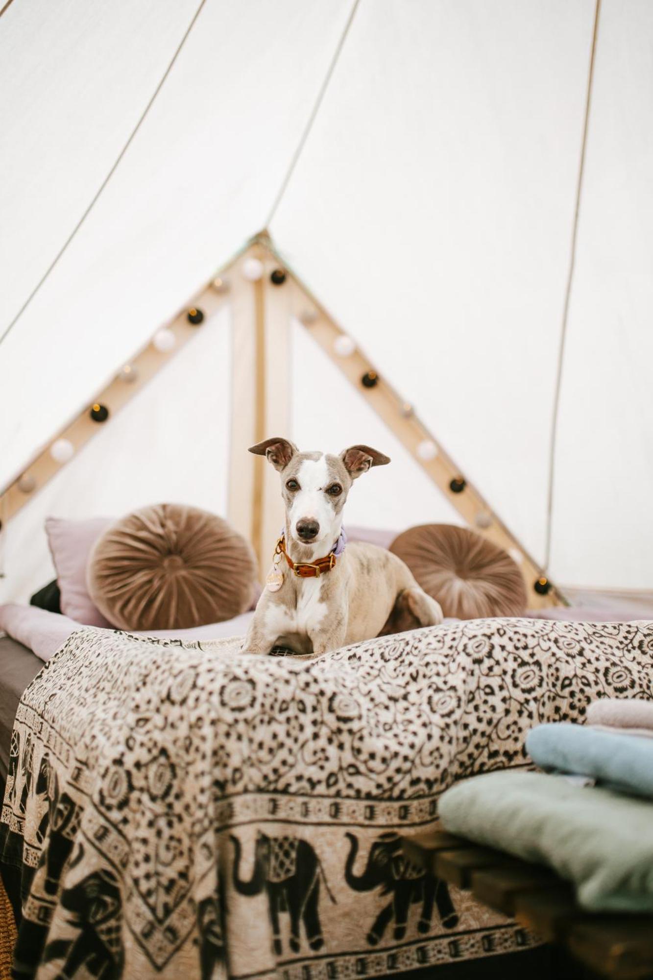 Hotel Vaettervy Glamping Habo Exterior foto